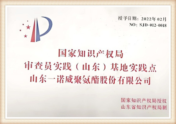 3.Practice Site of the China National Intellectual Property Administration Examiner (Shandong) Base